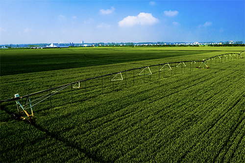 p83 太和县小麦生产基地在进行喷防作业