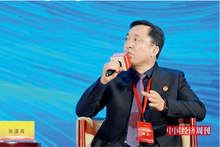 p097 张凌霄在第十八届中国经济论坛上参加“优化营商环境 助力企业发展”分论坛