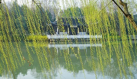 扬州瘦西湖桃柳景观成因探析