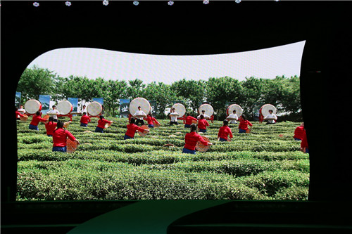 第六届六安茶谷网络开茶节在裕安举办