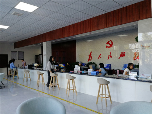 党员志愿者在行动洛阳洛龙区定鼎门街道办事处建设美丽家园共创文明