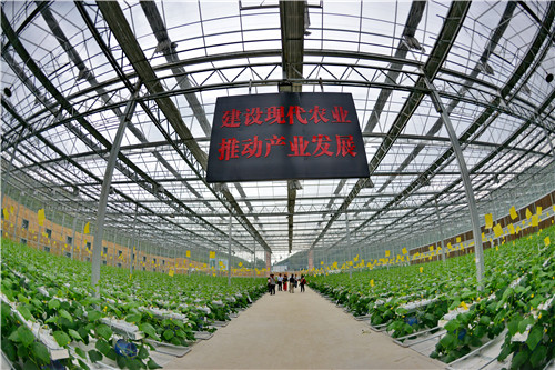 游客正在参观该县江禾田园蔬菜智能中心