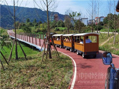 行驶在之江村绿道上的观光小火车。《中国经济周刊》记者 陈一良 摄。