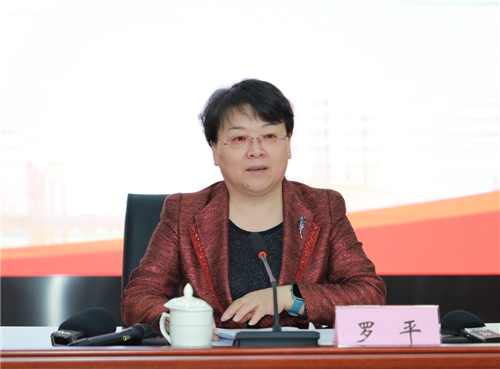 安徽省科技厅厅长罗平发布新闻.