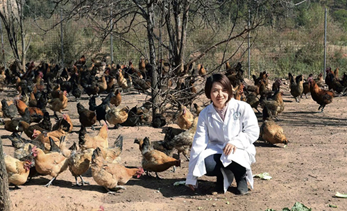 18 2018 年马关琴在扶贫基地巡鸡舍，与鸡为伴。