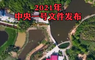 2021年中央一號文件公布，提出全面推進鄉(xiāng)村振興