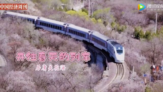 太美了！“花海列車”長城號穿梭花海，駛進春天 #開往春天的列車