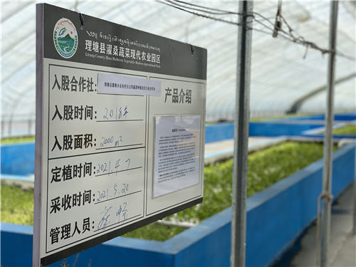 图1：理塘县濯桑现代农业园区是四川藏区唯一一个国家级现代农业科技展示示范基地