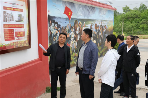 李丹峰带领商洛市委督导组到洛南督查指导党史学习教育工作
