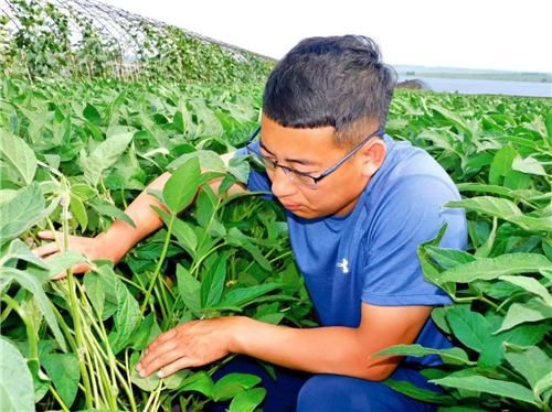 北大荒人季阳扎根沃土用汗水浇灌发展枝藤