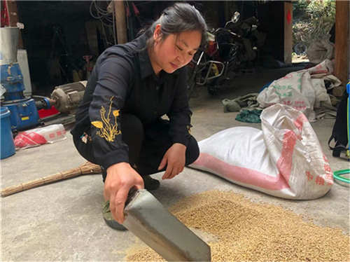图1：唐海英在忙着制作鸡饲料