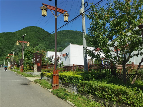 陕西宝鸡农村人居环境整治提升观摩及现场推进会在太白县举行