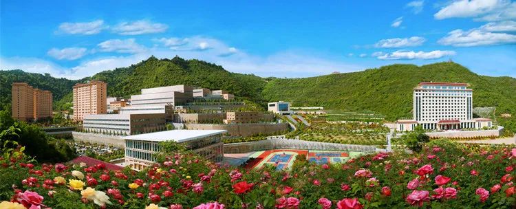 金徽矿业刘勇荣获"全国绿色矿山建设引领者"光荣称号