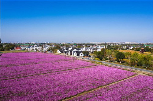 苏州市相城区冯梦龙村谱写新时代梦龙传奇