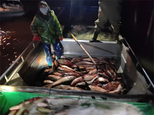 2、执法人员当场查获2000余斤非法捕捞的渔获物