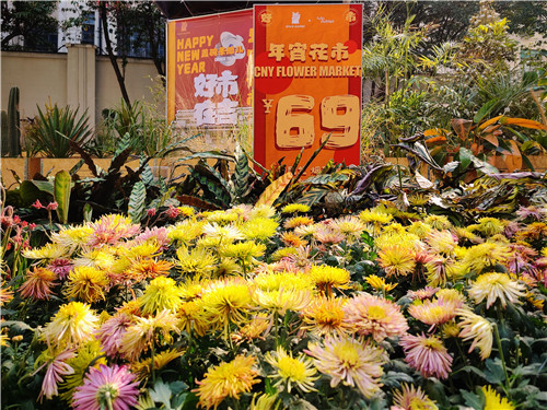 3上海商场中，年宵花火热迎春。（王雨菲 摄）