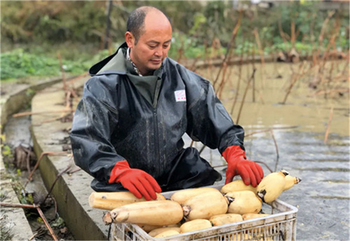 【退役军人创业典型】田勇军:贵州省退役军人"创业之