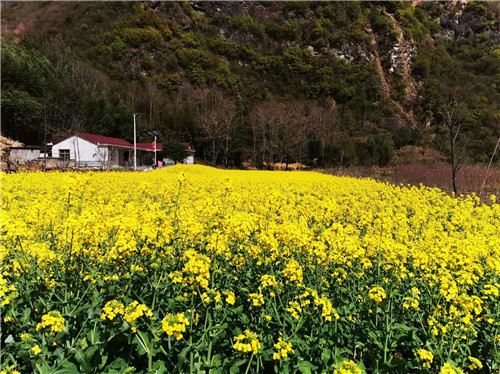 旬河水乡·罗家营乡村振兴示范区项目位于月河镇罗家营村,该项目规划