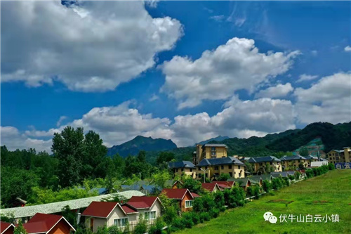 嵩县车村镇引入共享单车助力乡村振兴