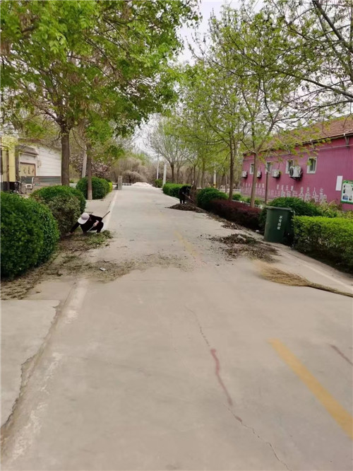 无棣县埕口镇:持续推进人居环境整治建设生态宜居美丽乡村