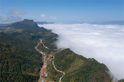 甘肅成縣雞峰山雲海如仙境