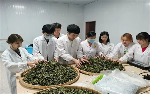 广州珠江职业技术学院中药学专业开展中药实训课提高中医药人才培养