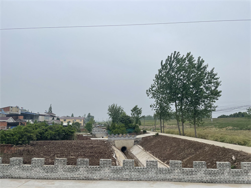 安徽望江县华阳镇:夯实水利基础设施 助推乡村农业振兴