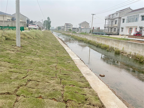 安徽望江县华阳镇夯实水利基础设施助推乡村农业振兴