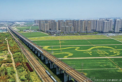 48 杭州萧山区，一趟高铁列车从绘有“中国梦”字样的油菜花海中疾驰而过。