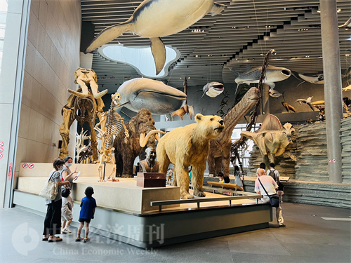 7月1日，上海自然博物馆场内，家长在跟孩子讲解。（宋杰摄）