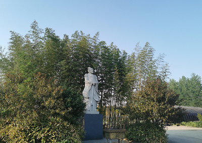 新庄村党总支第一书记谈有林说,大禹竹园是村里的"风景区",在农村人居