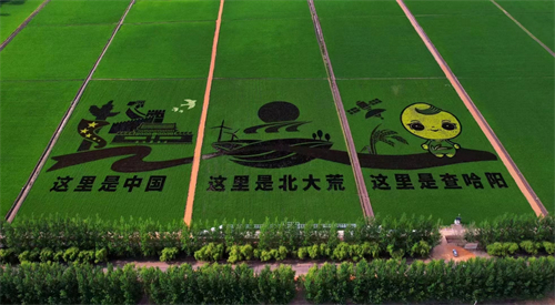 龙江3