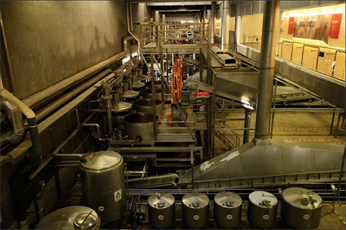 今世缘酒业自动化生产数字化营销智能化管理