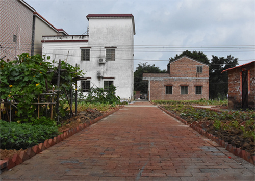 红美行动小切口撬动人居环境大变化四会市大沙镇以美学思维开展红美