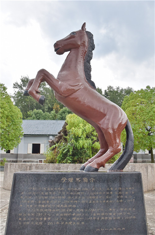 宁强矮马添丁进口