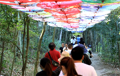 游客在1000把太阳伞组成的百米长廊行走、拍照。