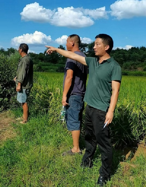 祁阳市三口塘镇镇长王洪清网络直播带货助力百姓增收致富