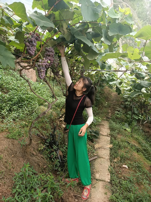 1 文体活动多样化